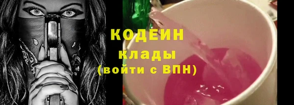 СК Зеленодольск
